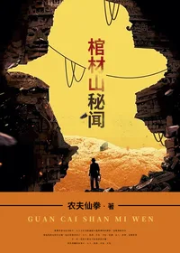 《棺材山秘闻》封面