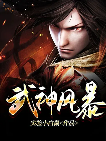 《武神风暴》封面