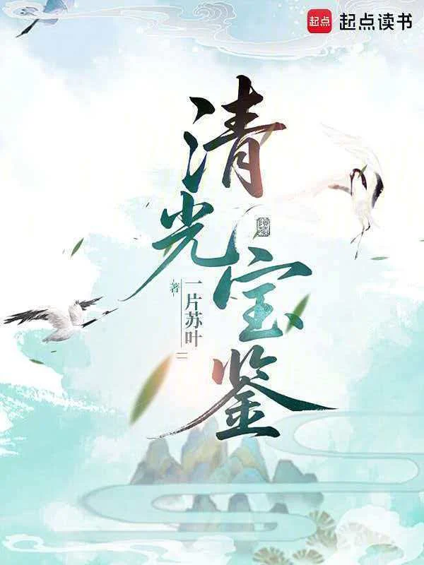 《清光宝鉴》封面