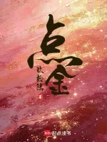 《点金》封面