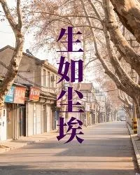 《生如尘埃》封面