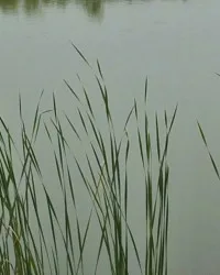 《舒武的世界》封面