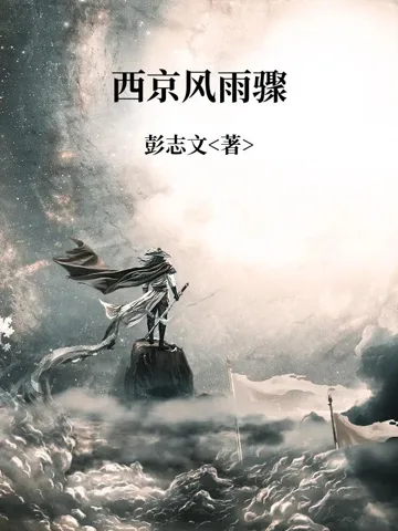 《西京风雨骤》封面