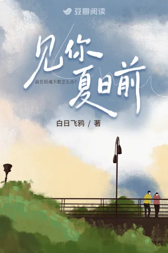 《见你夏日前》封面