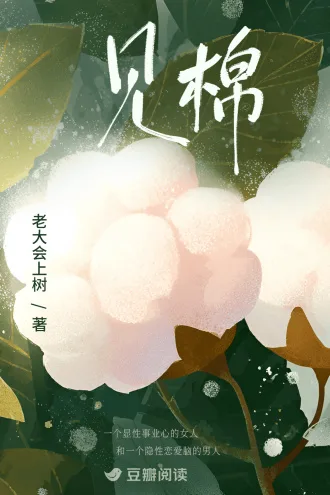 《见棉》封面