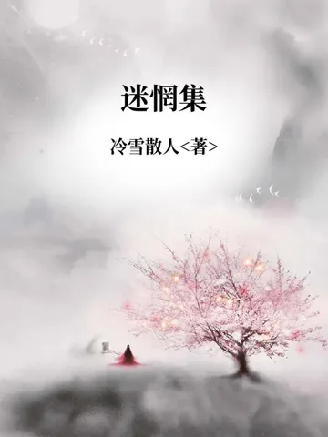《迷惘集》封面