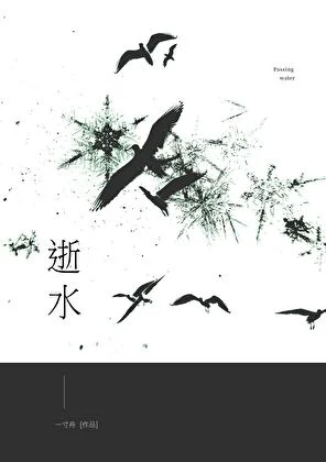 《逝水》封面