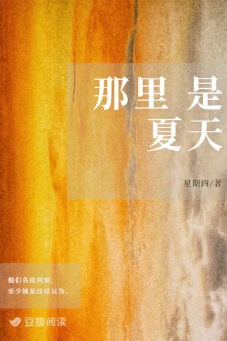 《那里是夏天》封面