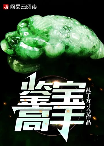 《鉴宝高手》封面
