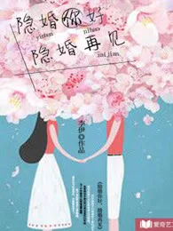 《隐婚你好隐婚再见》封面