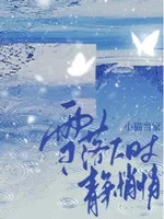 《雪落下时静悄悄》封面
