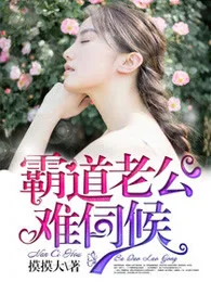 《霸道老公难伺候》封面
