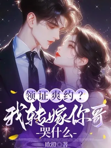 《领证爽约？我转嫁你哥哭什么》封面