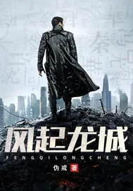 《风起龙城》封面