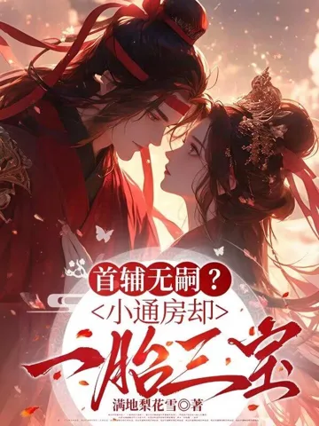 《首辅无嗣？小通房却一胎三宝》封面