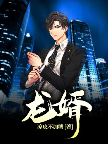 《龙婿》封面